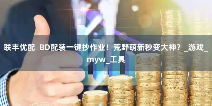 联丰优配  BD配装一键抄作业！荒野萌新秒变大神？_游戏_myw_工具