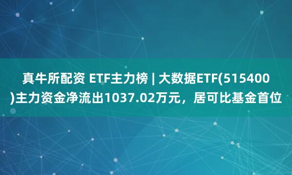 真牛所配资 ETF主力榜 | 大数据ETF(515400)主力资金净流出1037.02万元，居可比基金首位